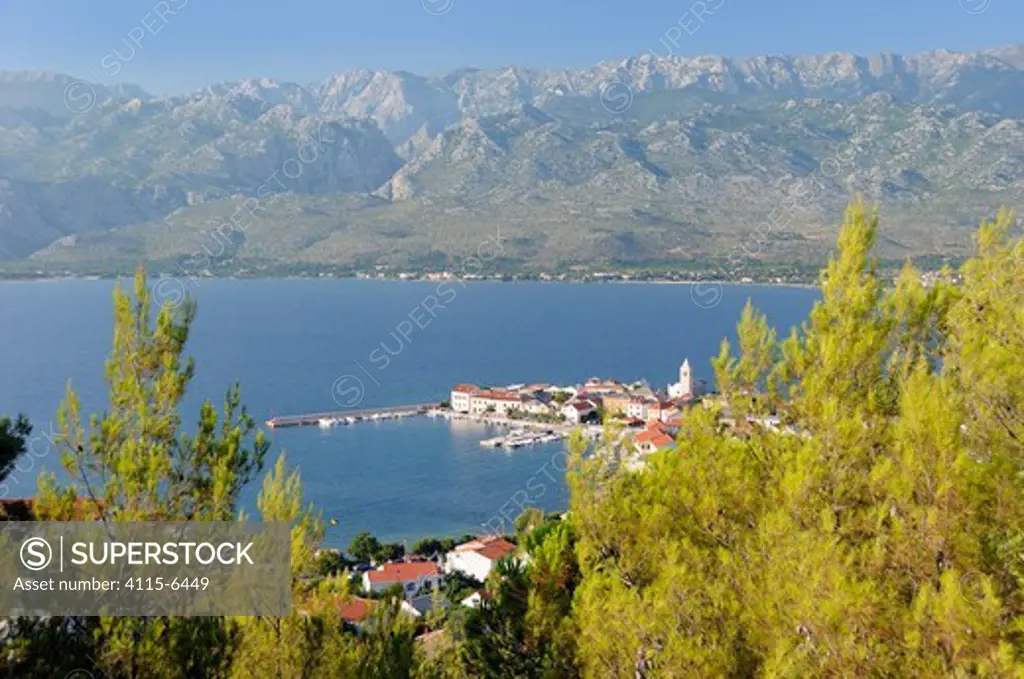 Overview of Vinjerac fishing village and harbour with Pine trees (Pinus sp.) in the foreground and the karst limestone Velebit mountain range of the Dinaric Alps in the background, Zadar province, Croatia, July 2010.
