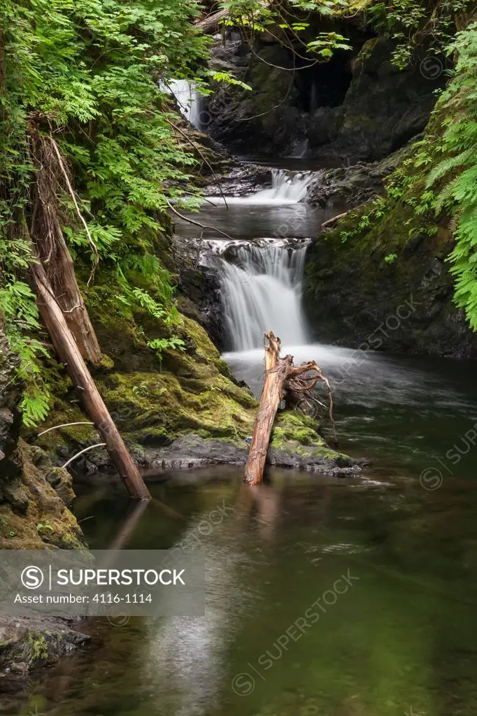 USA, Washington, Small cascade in Quinault Rainforest