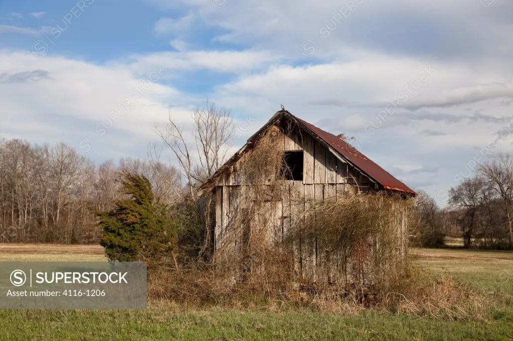 USA, Arkansas, Old shack in field