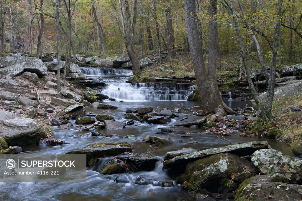 Creek flowing in a forest, Collins Creek, Arkansas, USA