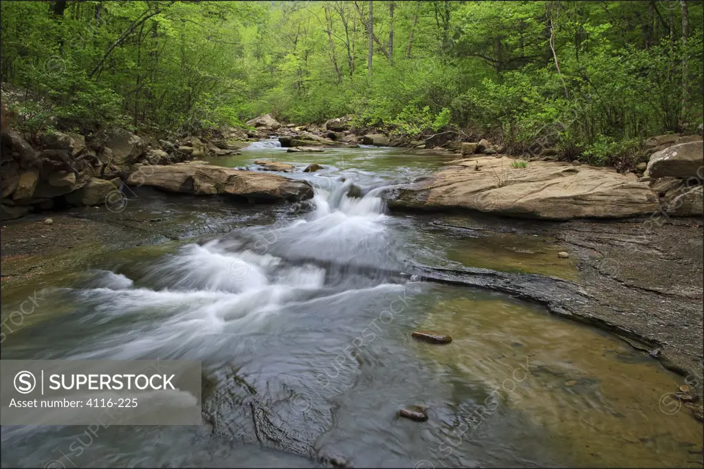 Creek flowing in a forest, Haw Creek, Fort Douglas, Ozark Mountains, Ozark National Forest, Arkansas, USA