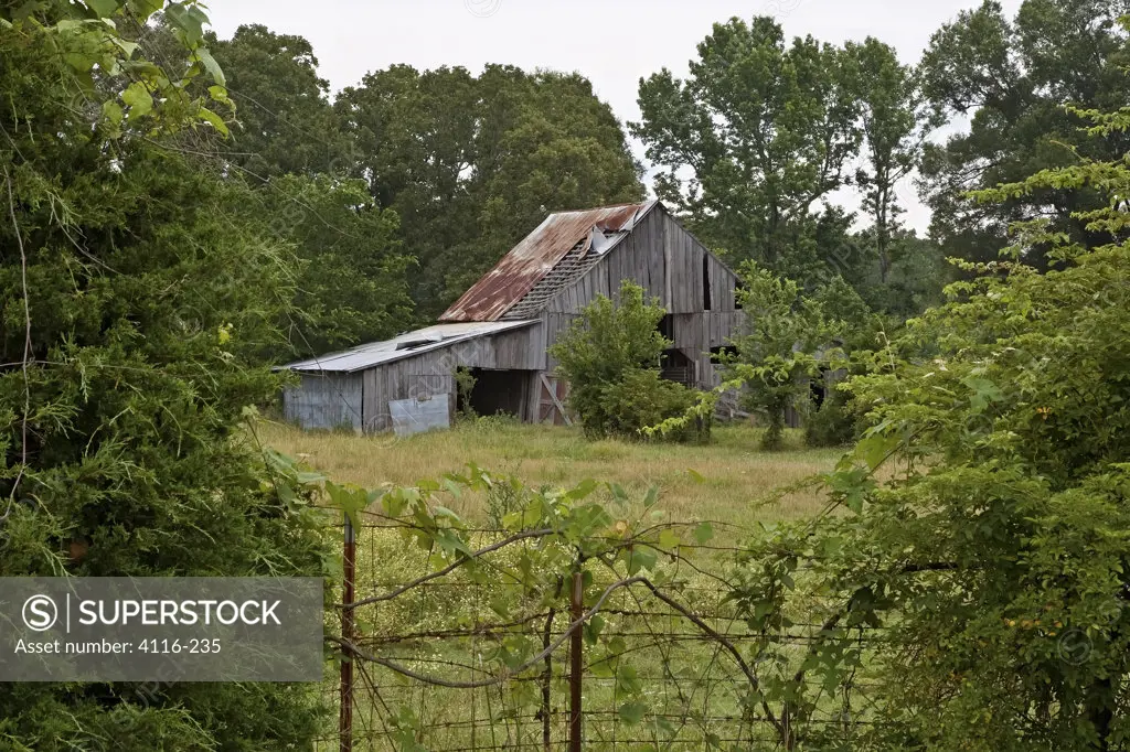 Old barn surrounded by trees in a field, Arkansas, USA