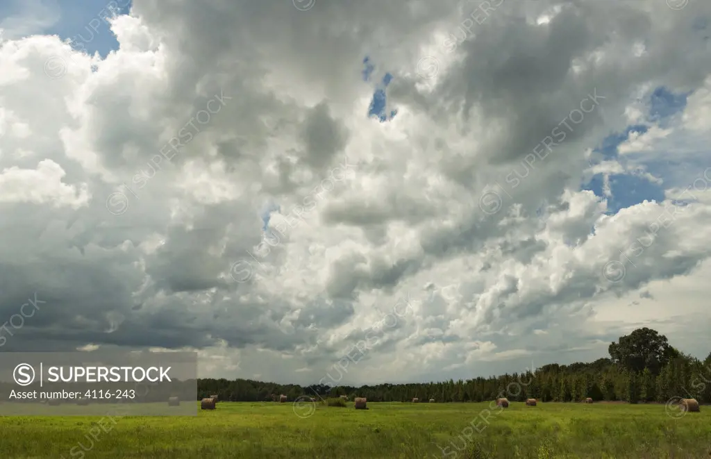 Storm clouds over a field of hay bales, Arkansas, USA