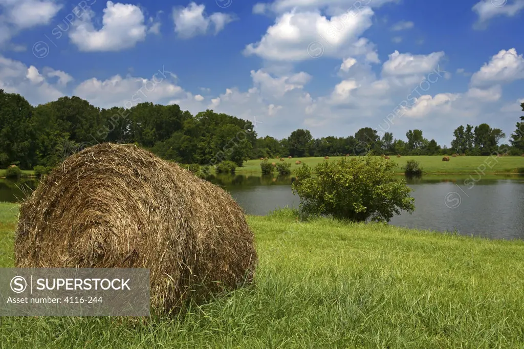 Hay bale in a field, Minten Lake, Arkansas, USA
