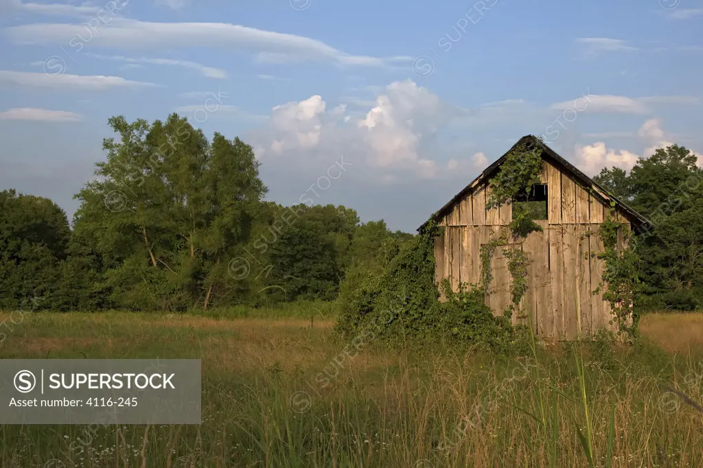 Abandoned shack in a field at dusk, Arkansas, USA