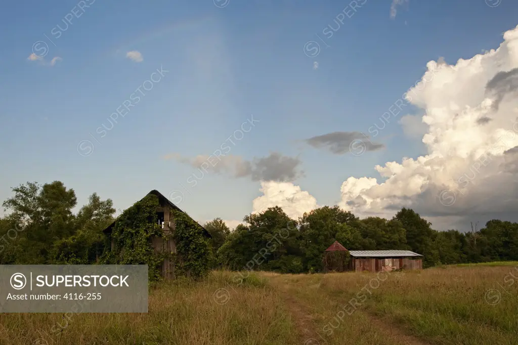 Abandoned barn and a shack in a field at dusk, Arkansas, USA