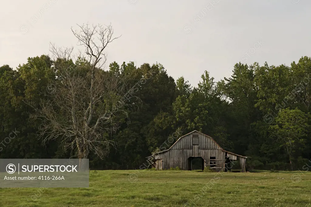 Abandoned barn in a field, Arkansas, USA