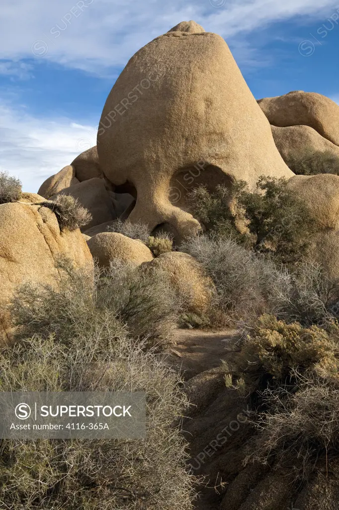 Rock formations in a desert, Joshua Tree National Monument, California, USA