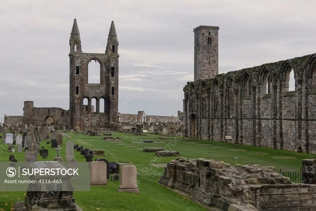 Ruins of a cathedral, St. Andrews Cathedral, St. Andrews, Fife, Scotland