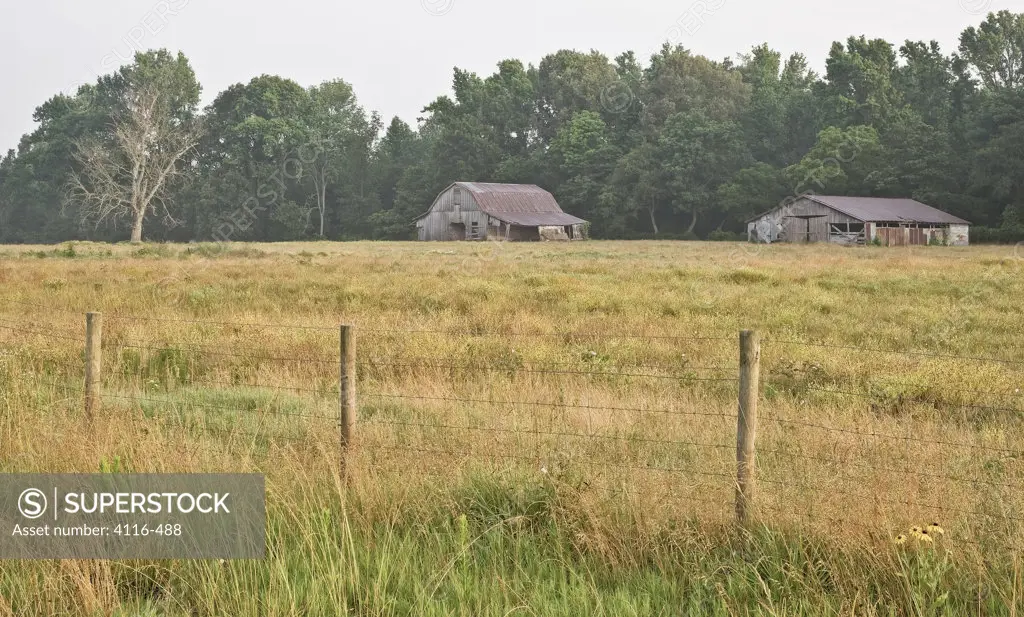 Two barns in a field, Arkansas, USA