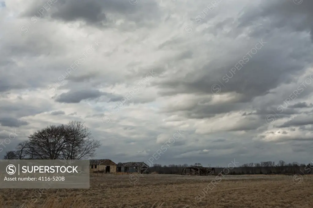 Abandoned farm buildings in a field, Arkansas, USA