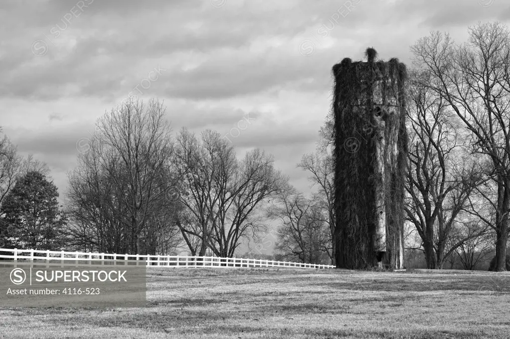 Vine covered silo and white fence in a farm, Arkansas, USA