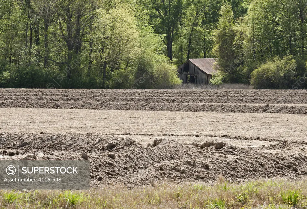Ploughed field with a barn in a farm, Arkansas, USA