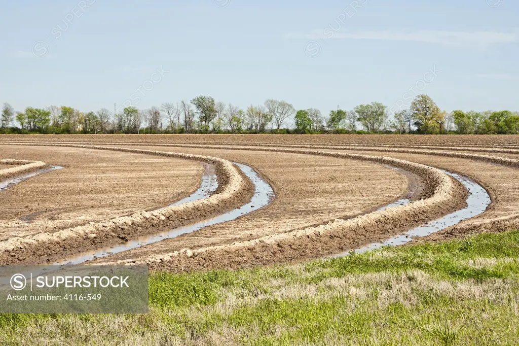 Ploughed rice field, Prairie County, Arkansas, USA