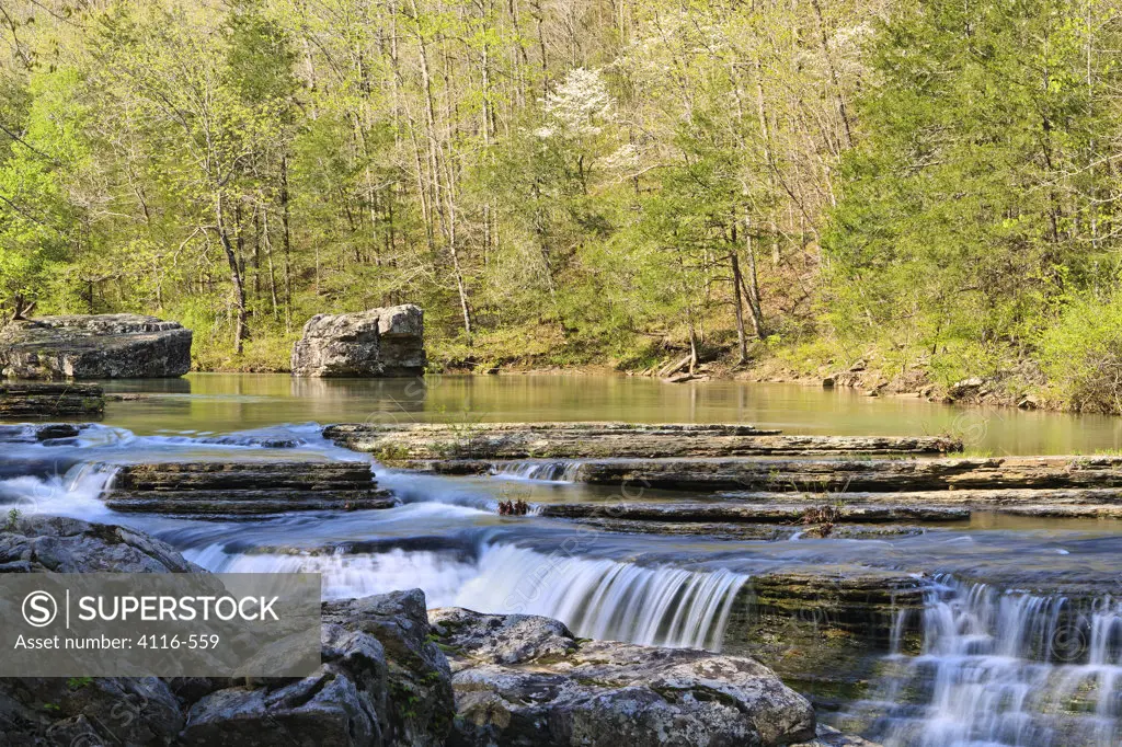 Waterfalls in a forest, Six Finger Falls, Falling Water Creek, Arkansas, USA