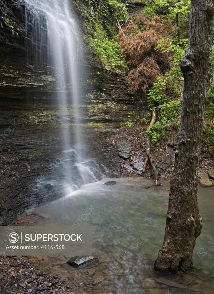 Waterfall in a forest, Cornelius Falls, Arkansas, USA
