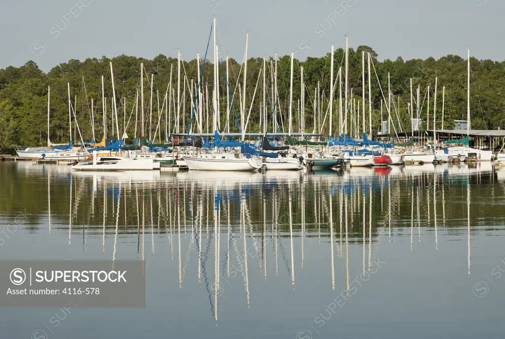 Sailboats in a marina, Lake Maumelle, Arkansas, USA