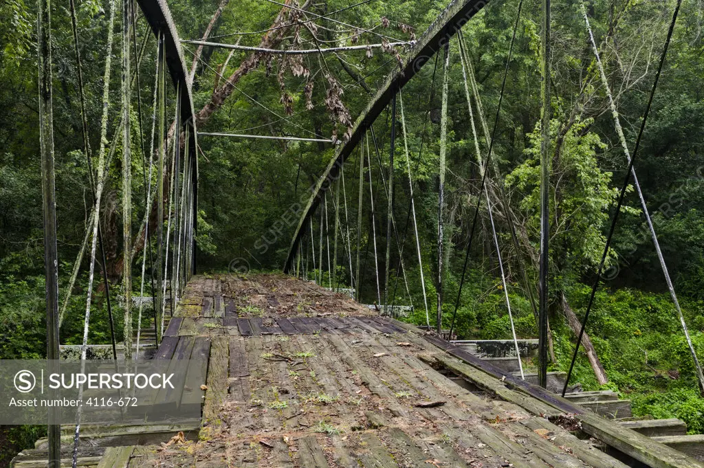 USA, Arkansas, Ozark National Forest, Springfield Bridge, oldest vehicular bridge in Arkansas