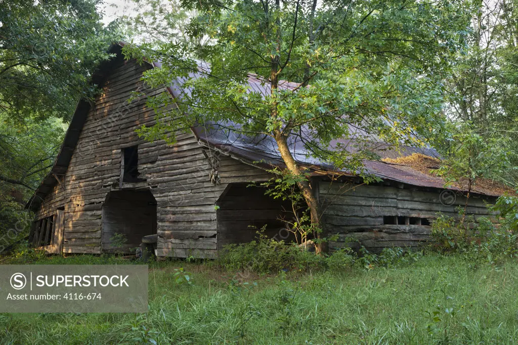 USA, Arkansas, Ozark National Forest, Old abandoned barn