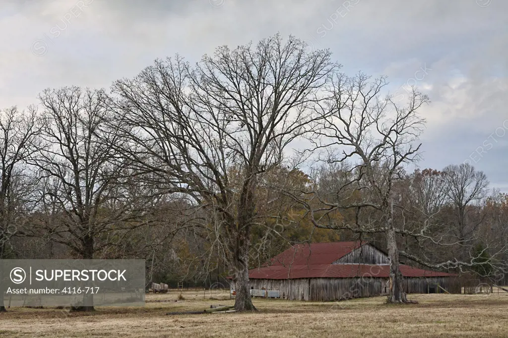 USA, Arkansas, Rusty barn among bare trees