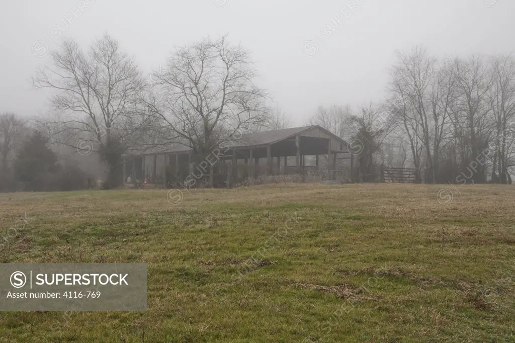 Old pole barn in a foggy field, Arkansas, USA