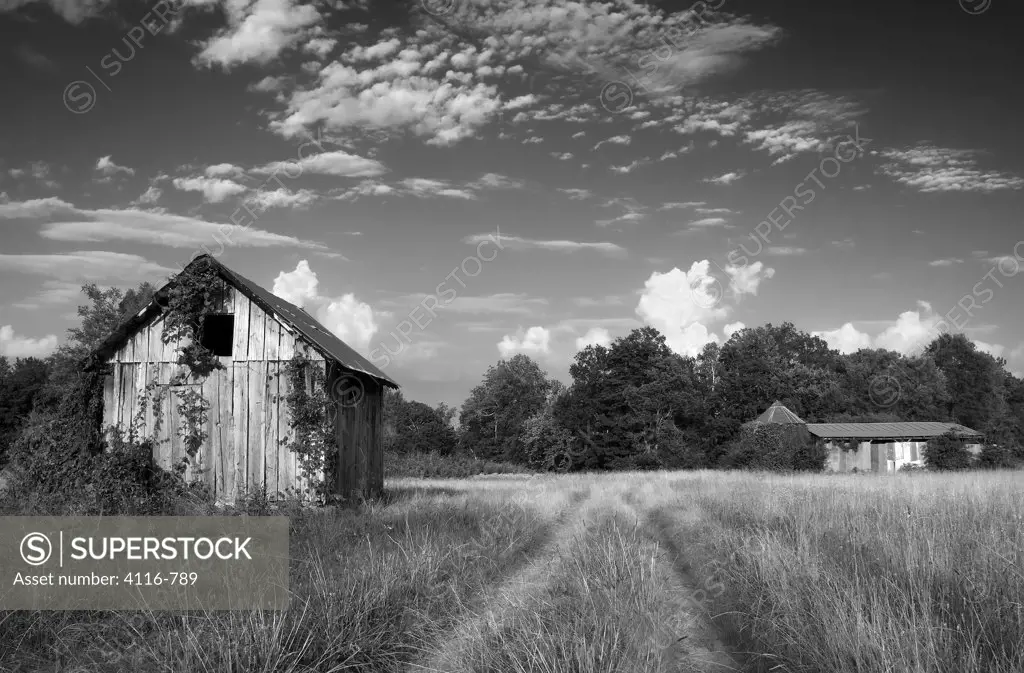Barn and shack in a field, Arkansas, USA