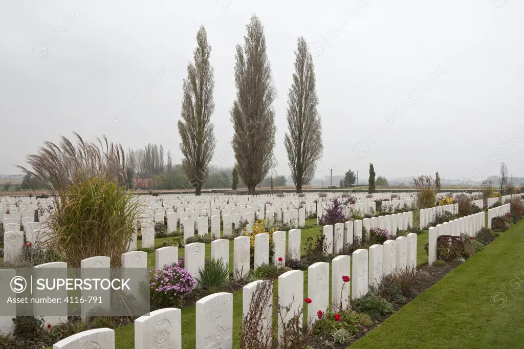 Tombstones in a cemetery, Tyne Cot Commonwealth War Graves Cemetery, Passendale, Zonnebeke, West Flanders, Flemish Region, Belgium