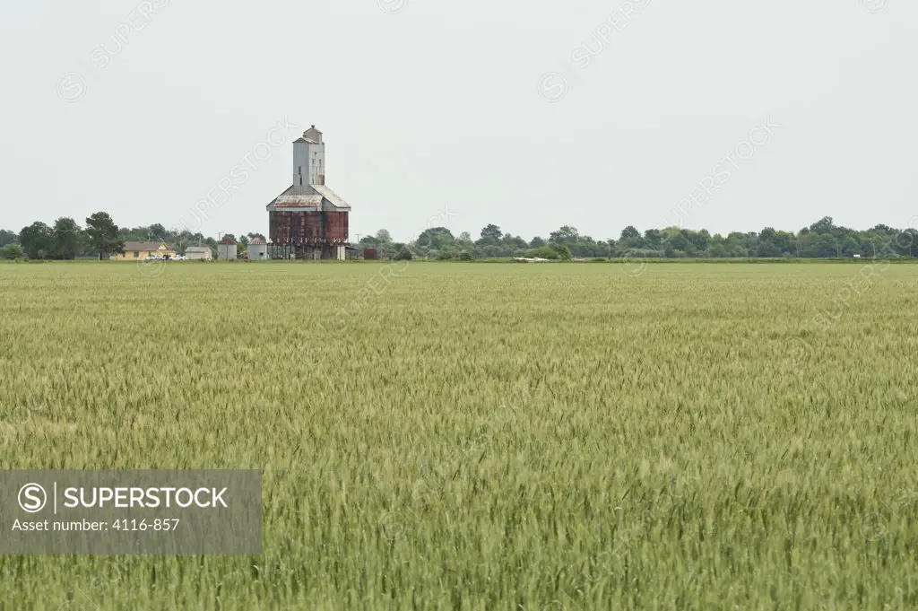 Grain storage on a farm, behind a wheat field