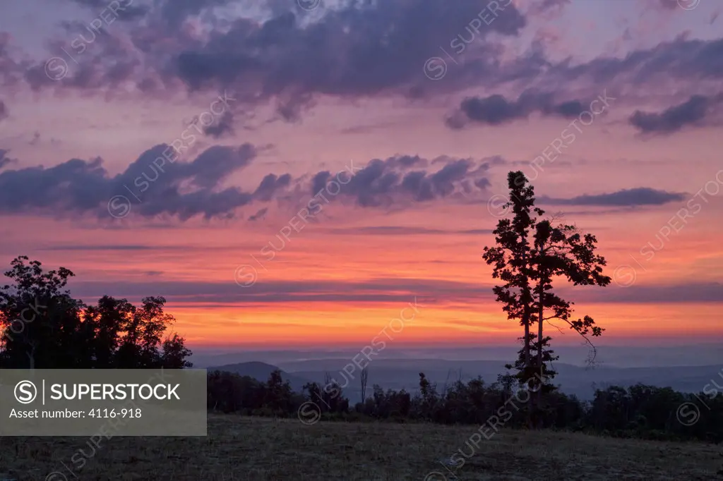 USA, Arkansas, Colorful sunrise sequence from hill, with silhouetted trees
