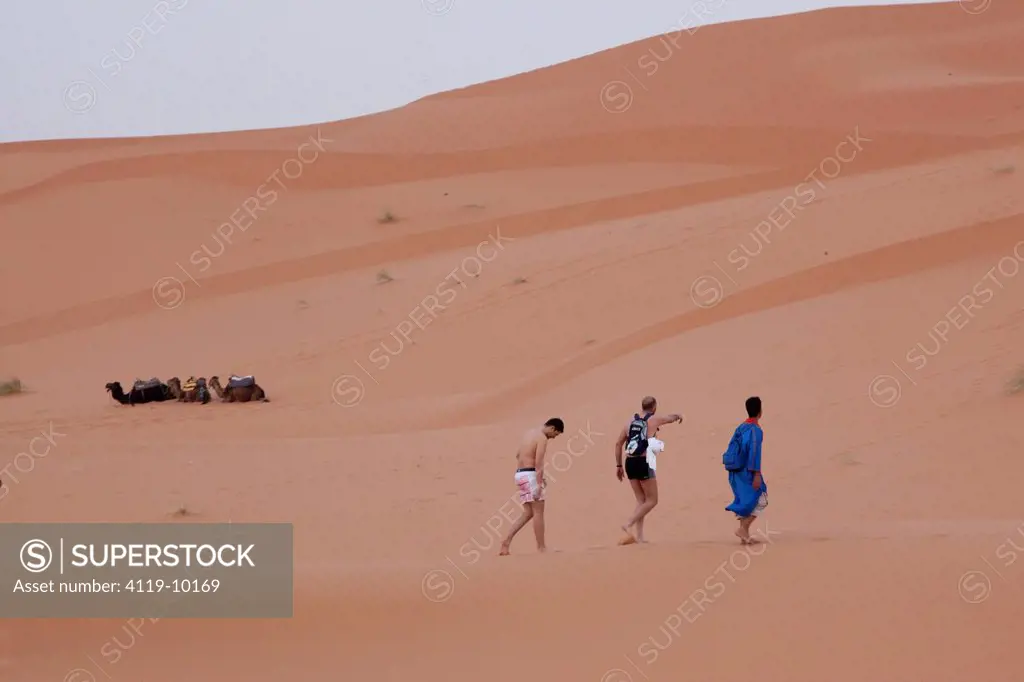 Photograph of hikers in the dunes of Mergouza Morocco