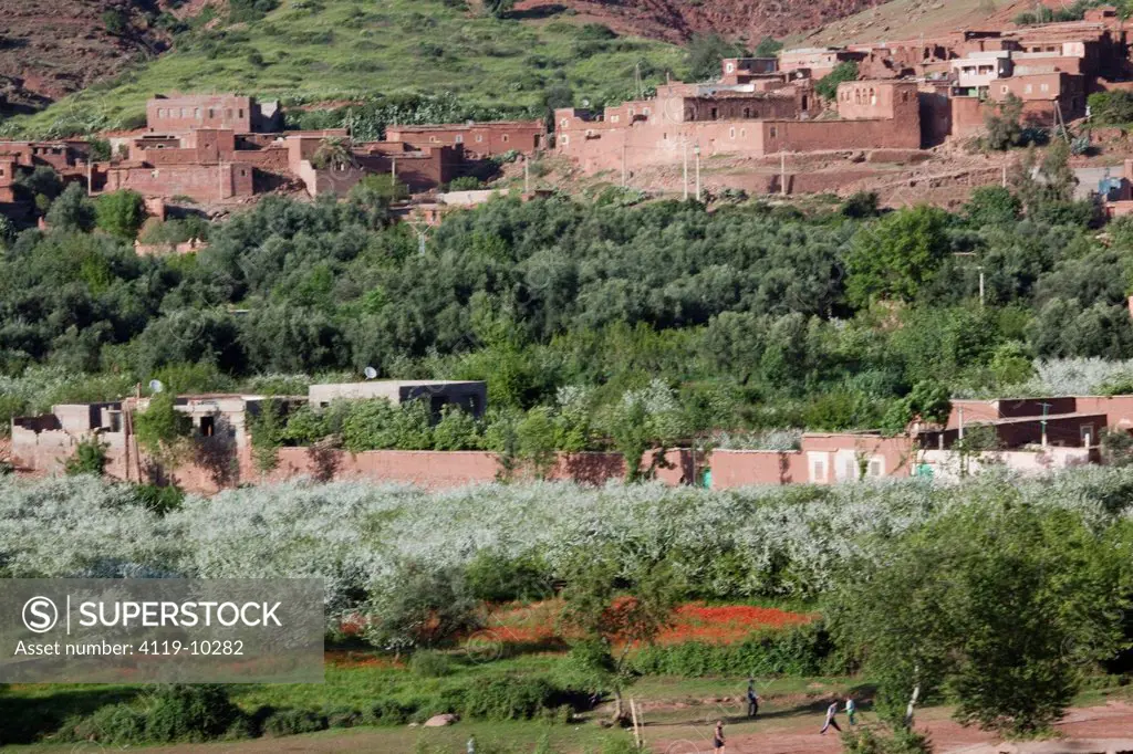 Photograph of a Moroccan village in the Ourika valley