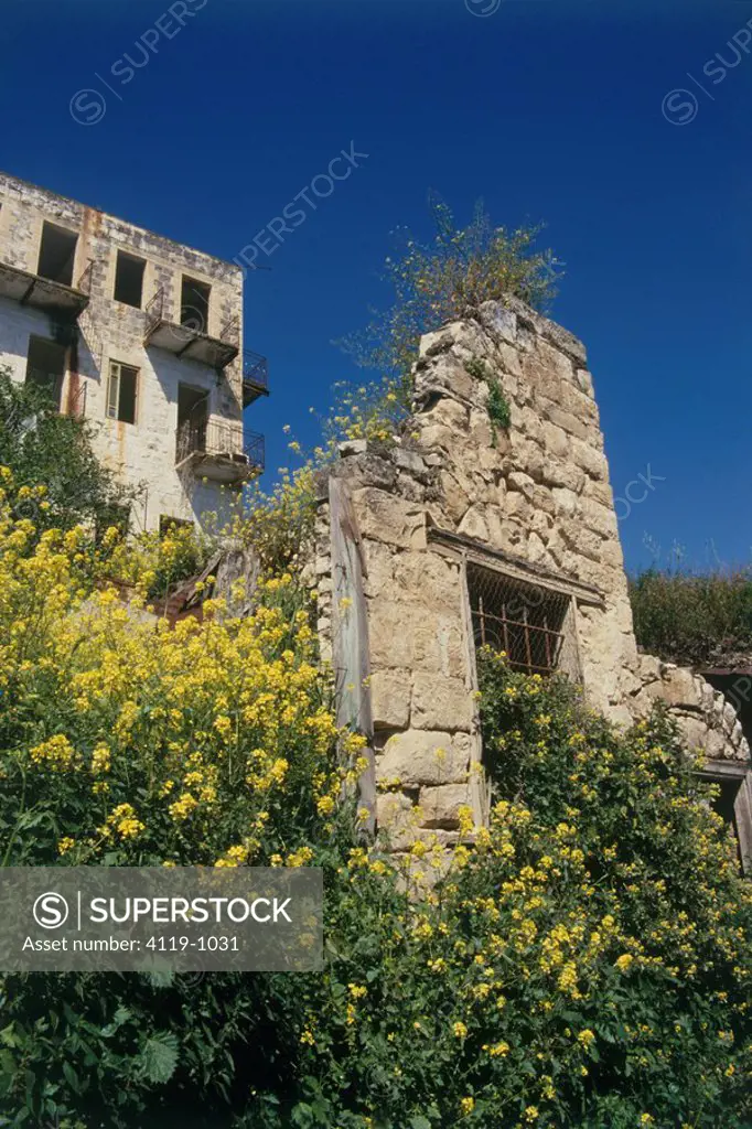 Photograph of a ruined house in the village of Rosh Pina