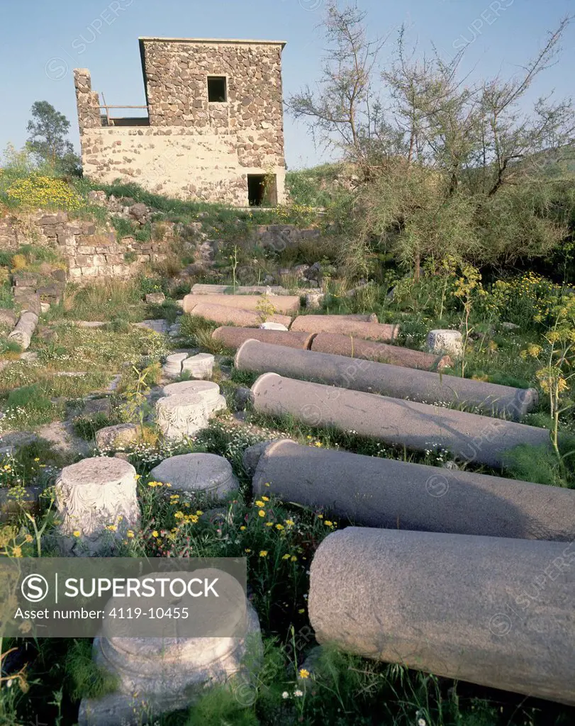 Photograph of the ruins of Gamla in the Golan Heights