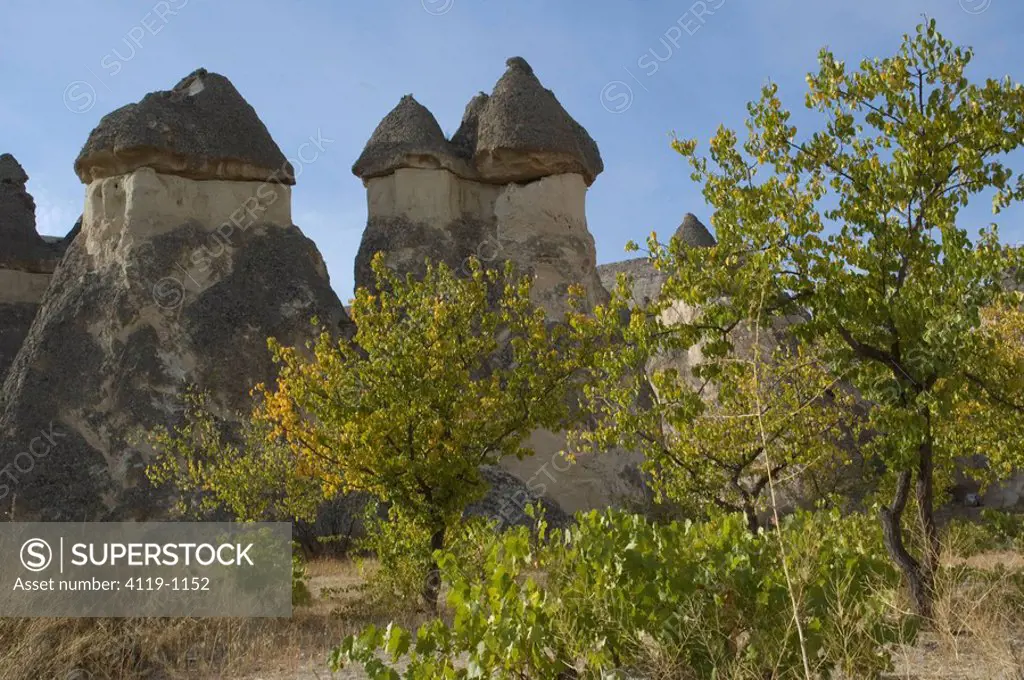 Photograph of Kapadokya Turkey