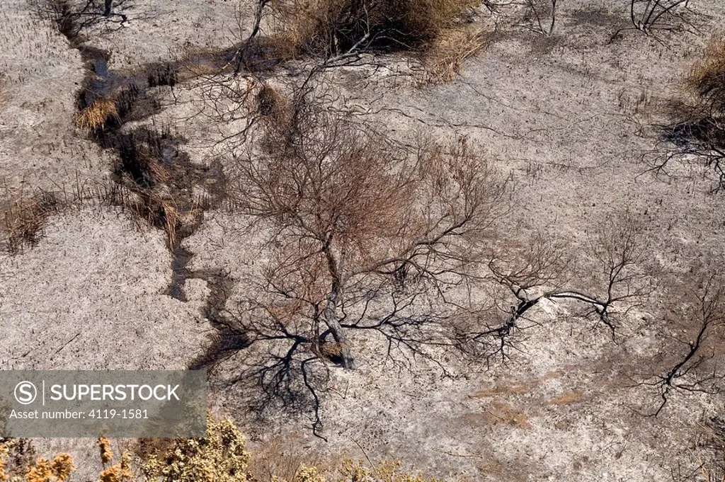 Aerial photograph of the Banias reservation in the Upper Galilee after a fire