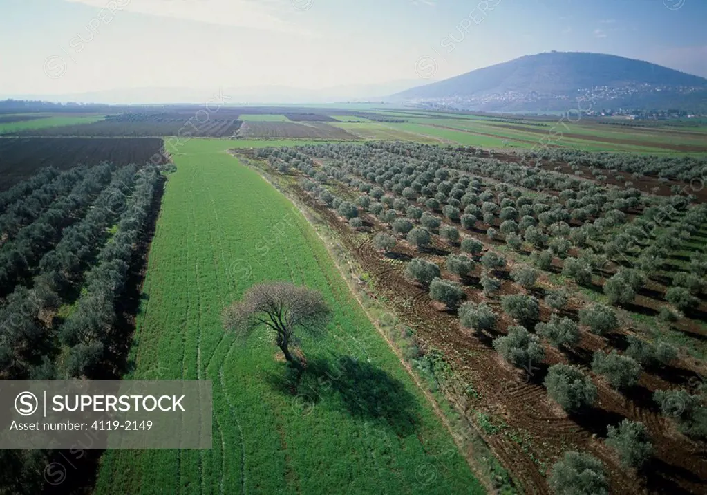 Aerial photograph of the agriculture fields of the Jezreel valley
