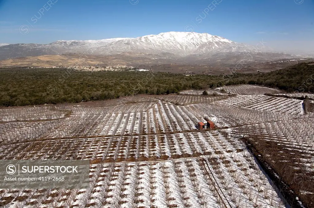 Aerial photograph of a icy plantation in the Northern Golan Heights