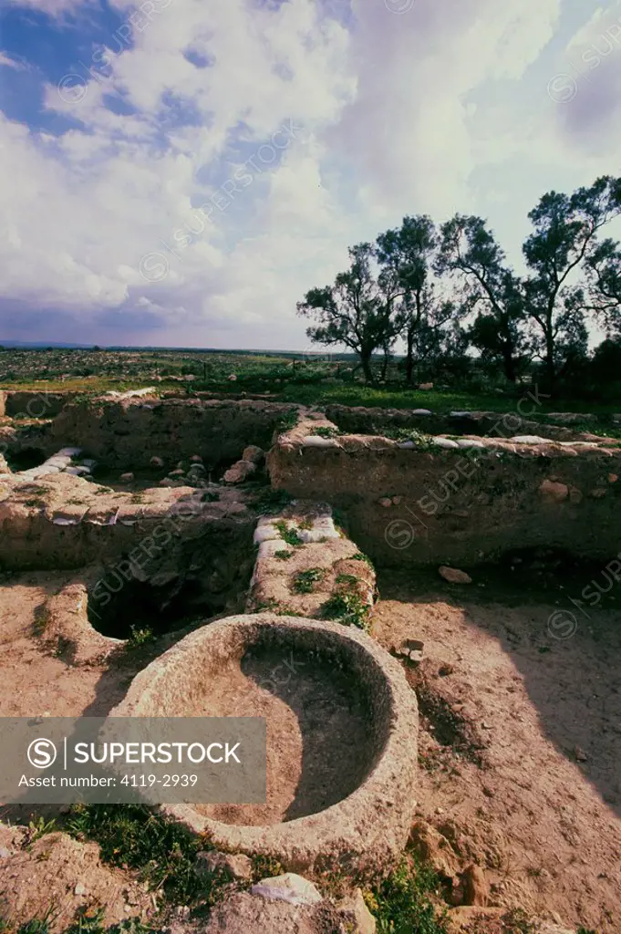 Photograph of mound Safi near the biblical philistine´s city of Gath