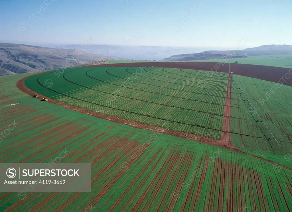 Aerial photograph of the green fields of Kohav heights in the Jordan valley