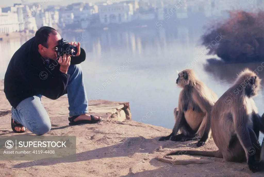 Photographer taking pictures of monkeys on the water front in India