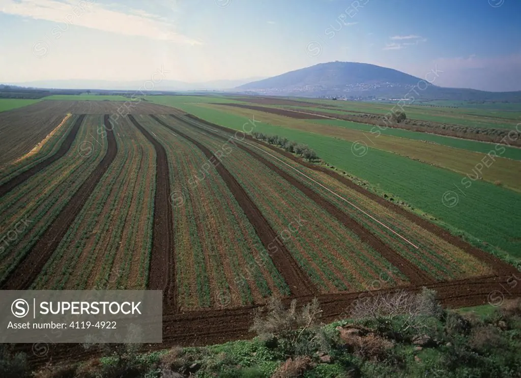 Aerial photograph of the agriculture fields of the Jezreel valley