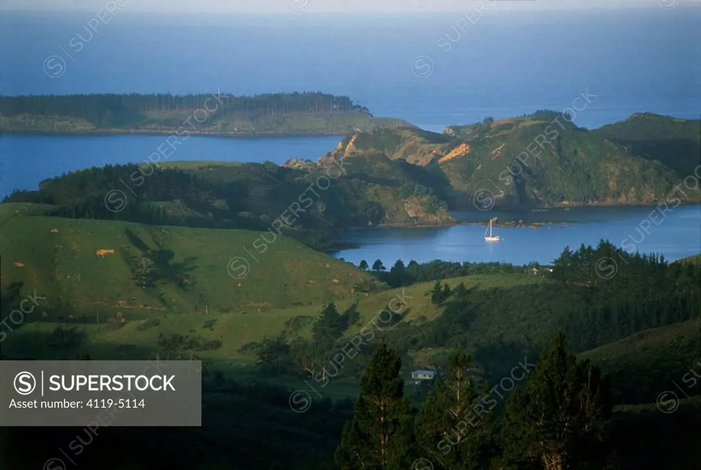 Aerial photograph of one of the islands of New Zealand