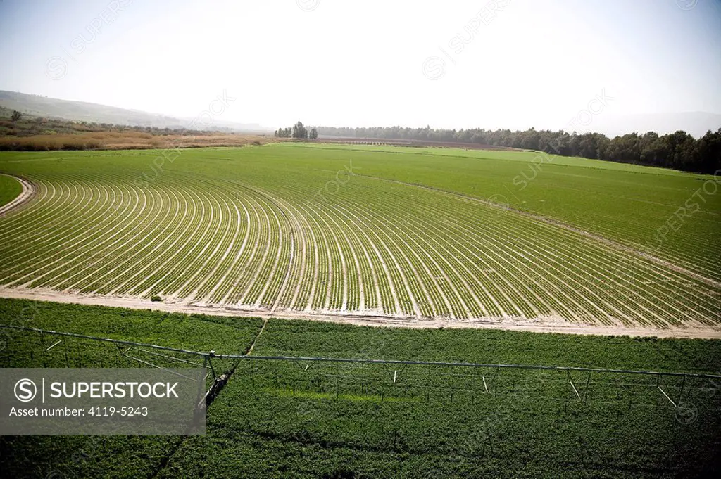 Aerial photograph of a green field in the Upper Galilee