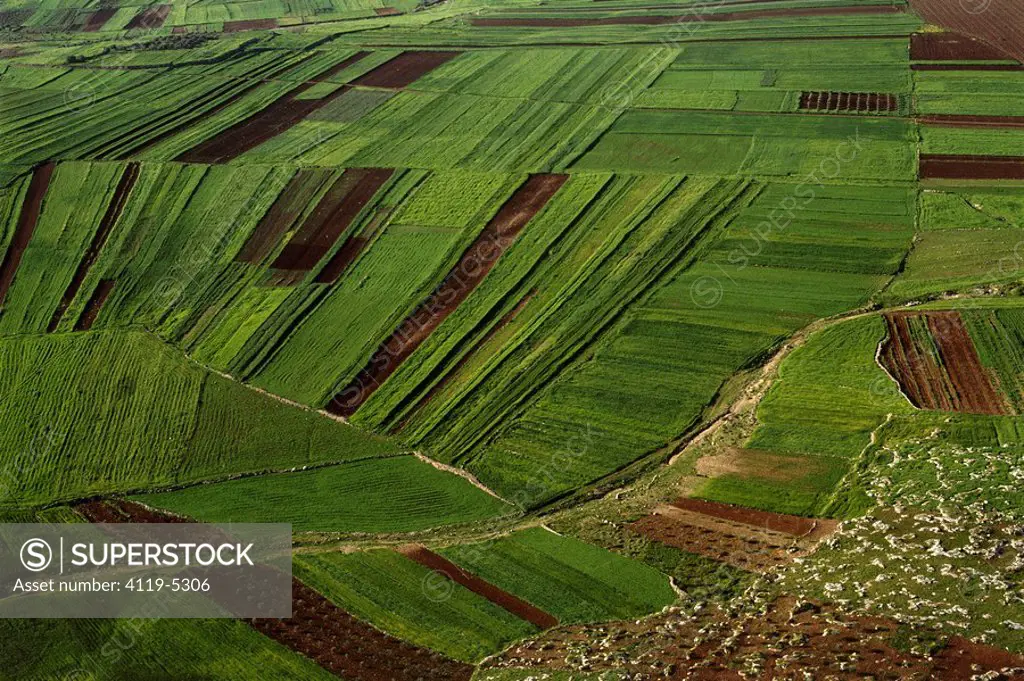 Aerial photograph of the Agriculture fields of Samaria