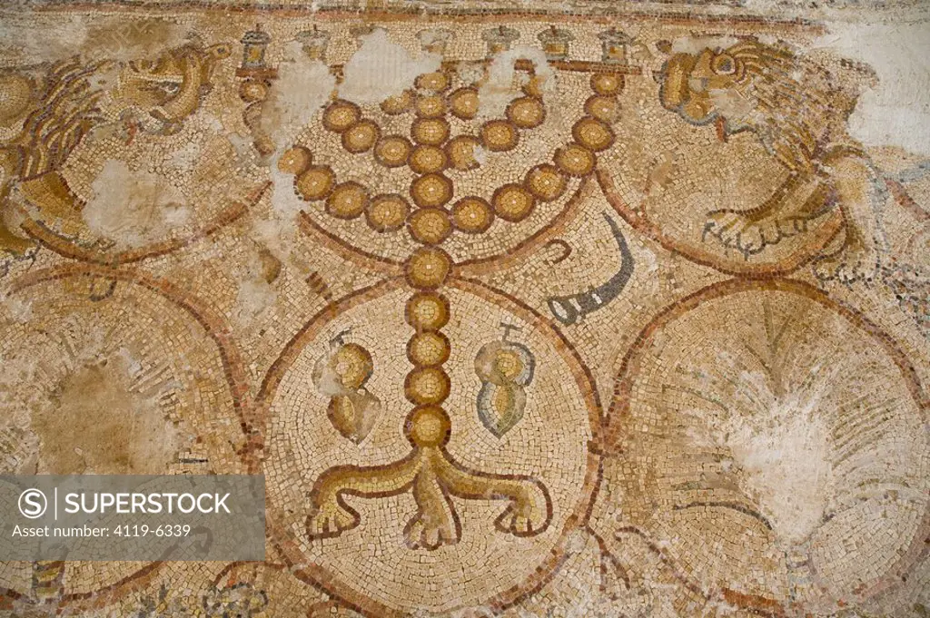 Photograph of a mosaic floor in the ancient synagogue of Ma´on Nirim in the western Negev