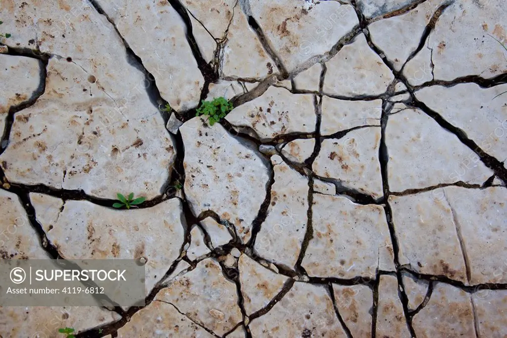 Closeup on the cracked land because of the drought in the Galilee