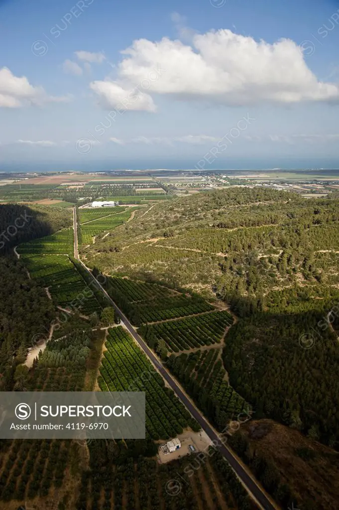 Aerial view of the agriculture fields of the Carmel ridge