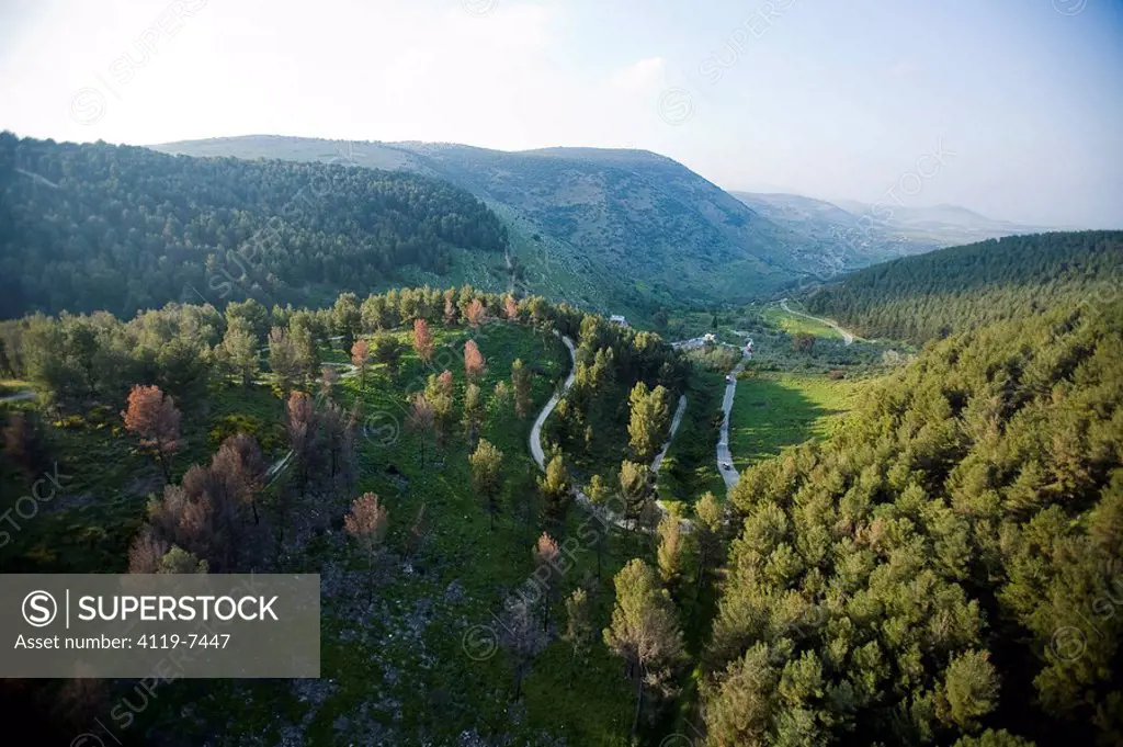 Aerial photograph of Biriya forest in the Upper Galilee
