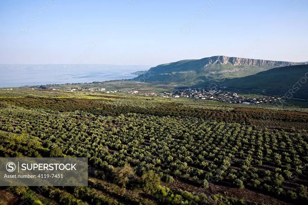 Aerial photograph of the Arbel cliff and the Sea of Galilee