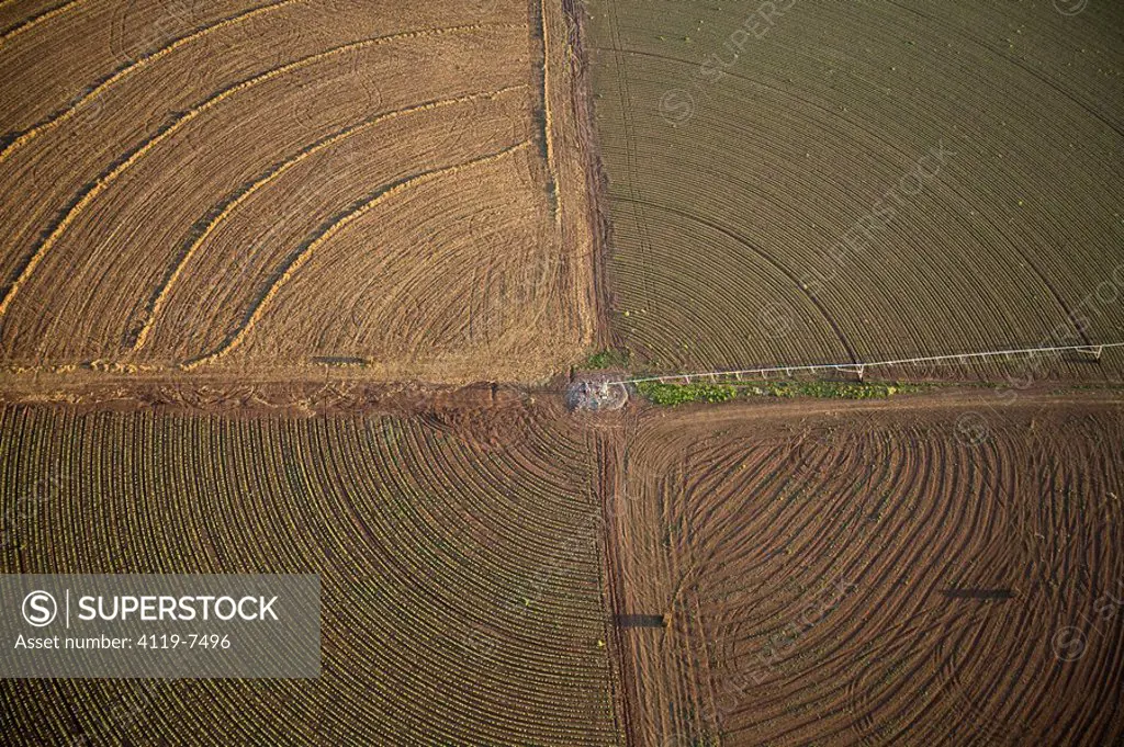 Aerial photograph of the agriculture fields of Kibutz Beit Alfa in the Jezreel valley